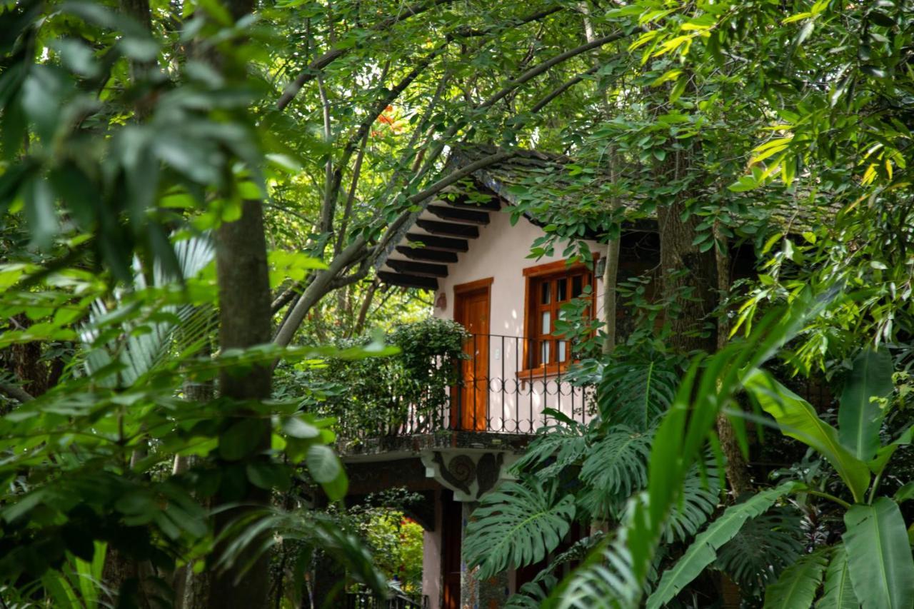 Hotel La Casa De Los Arboles Immersive Experience Сакуальпан-де-Амильпас Экстерьер фото