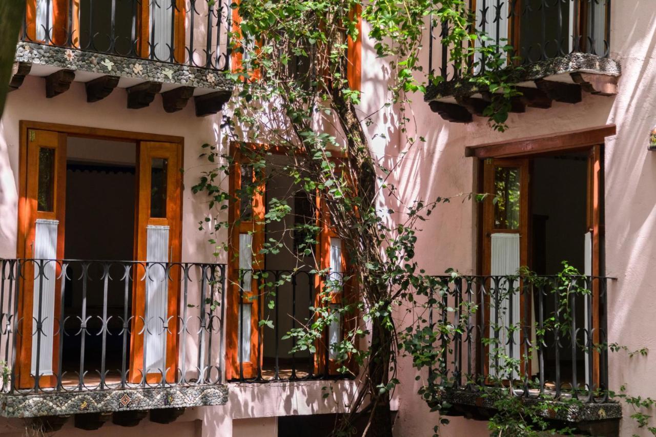 Hotel La Casa De Los Arboles Immersive Experience Сакуальпан-де-Амильпас Экстерьер фото